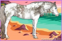 Horse Color:White Spotted Liver Chestnut Splash Tobiano 