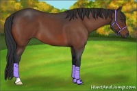 Horse Color:Bay Roan 