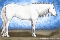 Horse Color:Smoky Creme Tobiano Varnish Rabicano