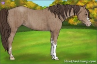 Horse Color:Classic Champagne  and Classic Champagne 