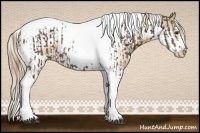 Horse Color:Liver Chestnut Tobiano Frame and Chocolate Palomino Pearl Dun Tobiano Frame