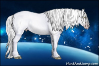 Horse Color:Gray Amber Champagne