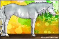 Horse Color:Silver Smoky Black Pearl Splash 