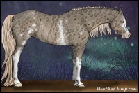 Horse Color:White Spotted Chocolate Palomino Ice Sabino Rabicano