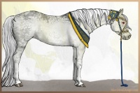 Horse Color:White Spotted Silver Grullo Chinchilla Ice Tobiano