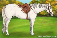 Horse Color:Perlino Roan