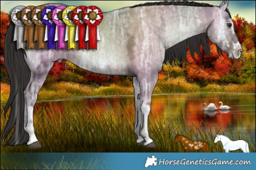 Horse Color:White Spotted Liver Red Dun Ice Onyx Splash 