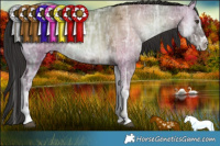 Horse Color:White Spotted Liver Red Dun Ice Onyx Splash