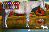 Horse Color:White Spotted Liver Red Dun Ice Onyx Splash 