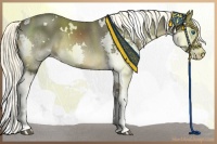 Horse Color:White Spotted Liver Chestnut Splash 