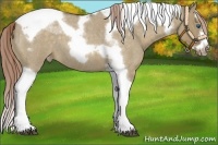 Horse Color:Chocolate Palomino Roan Dun Splash Tobiano Frame Appaloosa