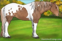Horse Color:Chestnut Tobiano Blanket 