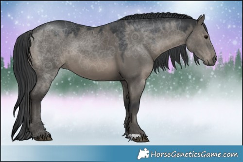 Horse Color:Grullo Rabicano 