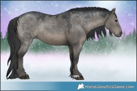 Horse Color:Grullo Rabicano 