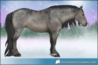 Horse Color:Grullo Rabicano 