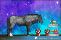 Horse Color:Black Sabino Rabicano 