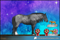 Horse Color:Black Sabino Rabicano 