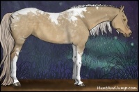 Horse Color:Chocolate Palomino Dun Tobiano
