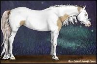 Horse Color:Chocolate Palomino Dun Splash Tobiano 