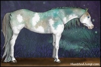Horse Color:Painted Liver Chestnut Sabino Splash 