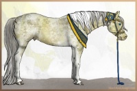 Horse Color:Chocolate Palomino Ice Dun Sabino Splash Tobiano 