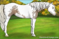 Horse Color:Liver Chestnut Ice Sabino Splash Tobiano