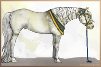 Horse Color:White Spotted Liver Red Onyx Splash Frame Rabicano 