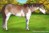 Horse Color:Chocolate Brown Splash