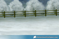 Horse Color:White Spotted Chocolate Palomino Mushroom Appaloosa 