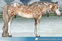 Horse Color:White Spotted Chocolate Palomino Mushroom Snowflake Varnish