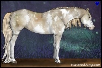 Horse Color:White Spotted Liver Red Dun Ice Splash 