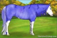 Horse Color:Watercolor Black Ice Splash Rabicano 