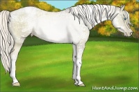 Horse Color:Chocolate Palomino Ice Pearl Dun Tobiano