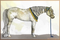 Horse Color:White Spotted Chocolate Palomino Ice Dun Rabicano