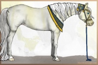 Horse Color:White Spotted Chocolate Palomino Ice Onyx Sabino Splash Frame Rabicano 