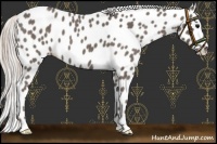 Horse Color:Silver Blue Roan Leopard 