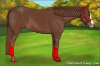 Horse Color:Chestnut Splash 