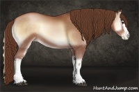 Horse Color:White Spotted Brown Pearl Onyx Sabino Rabicano