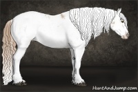 Horse Color:Liver Chestnut Pearl Sabino Splash Rabicano 