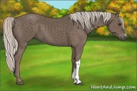 Horse Color:Silver Black 