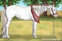 Horse Color:Perlino Sabino Frame  and Perlino Sabino Frame 