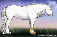 Horse Color:Silver Buckskin Dun Sabino Frame Rabicano