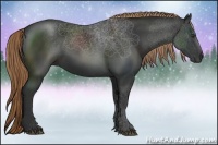 Horse Color:Liver Chestnut Rabicano 