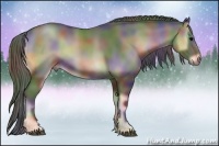 Horse Color:Nacre Blue Onyx