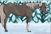 Horse Color:Silver Black 