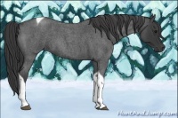 Horse Color:Smoky Blue Roan Tobiano 