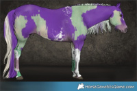 Horse Color:Watercolor Silver Brown Dun Splash Tobiano Brindle and Watercolor Liver Chestnut Tobiano