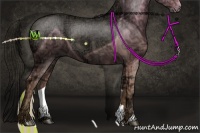 Horse Color:Painted Silver Black Ice Rabicano 
