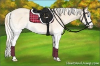 Horse Color:White Spotted Perlino Splash  and White Spotted Silver Perlino Splash 
