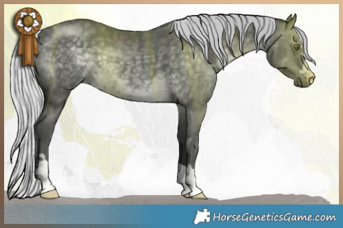 Horse Color:Silver Black Chinchilla 